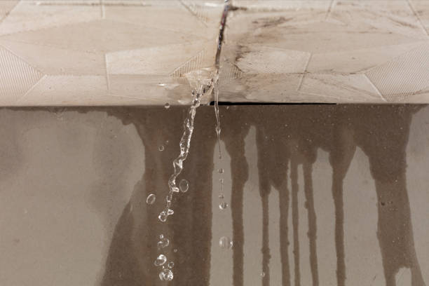 Professional Water Damage Repair technician working in Highland Park, IL